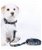 Guinzaglio da addestramento in nylon Taglia L con stampa modello Anam Cara per cani - foto 1