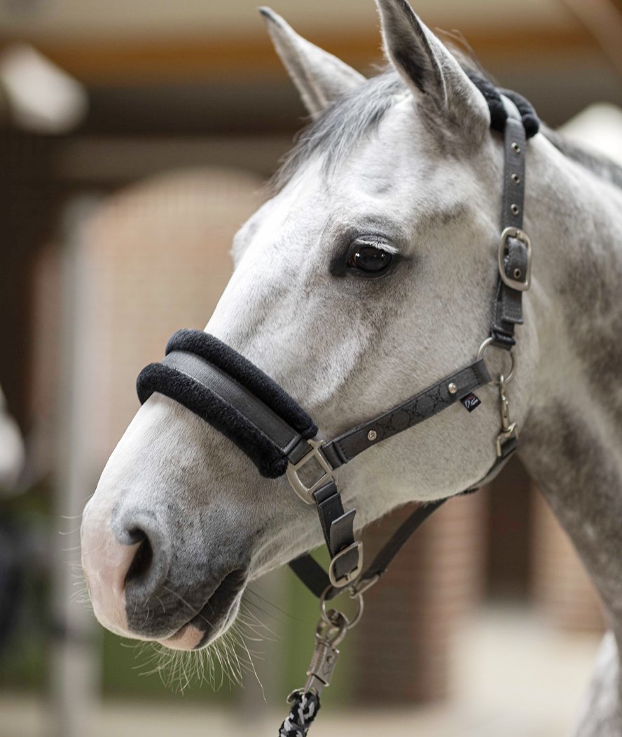 Cavezza per cavalli con strass decorativi e nasalina e paranuca imbottiti modello Rosewood - foto 7