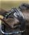 Briglia per cavalli in cuoio con pietre colorate e paranuca largo modello Port Royal completa di redini - foto 3