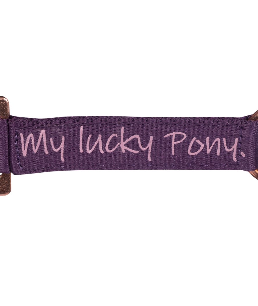 Cavezza in nylon per pony modello Alva con capezzina e sopratesta imbottiti
 - foto 1