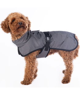 Cappottino Taglia L e XL modello Buddy con pile per cani