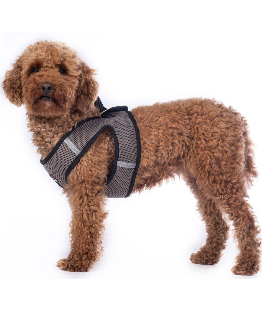 Pettorina traspirante con strisce riflettenti modello Buddy Soft per cani