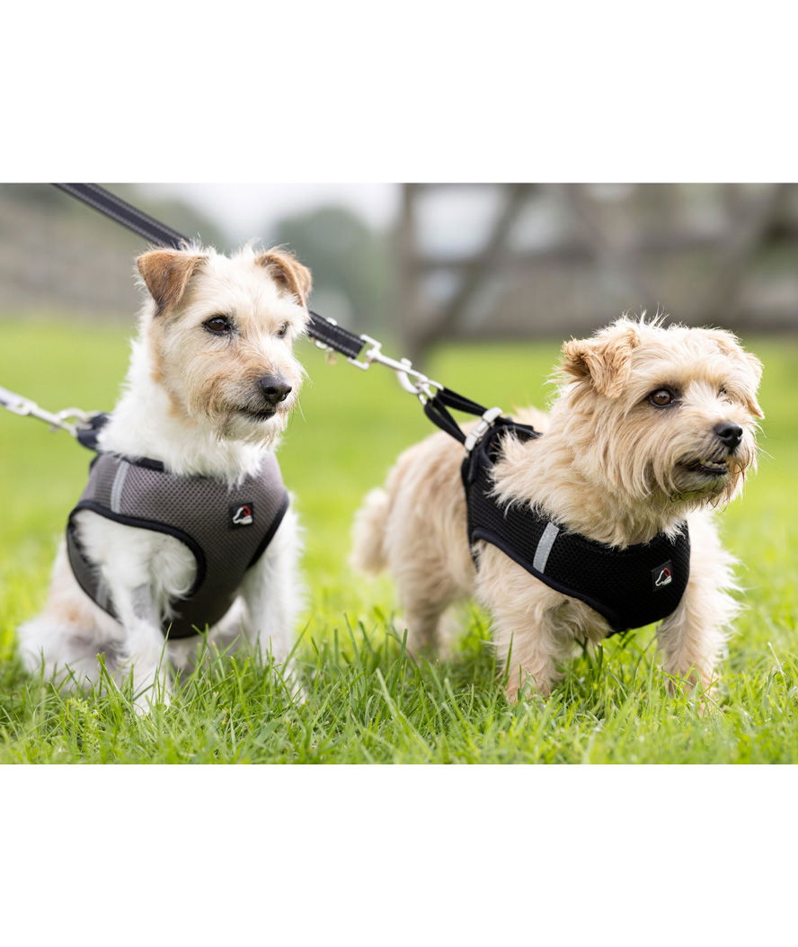 Pettorina traspirante con strisce riflettenti modello Buddy Soft per cani - foto 10