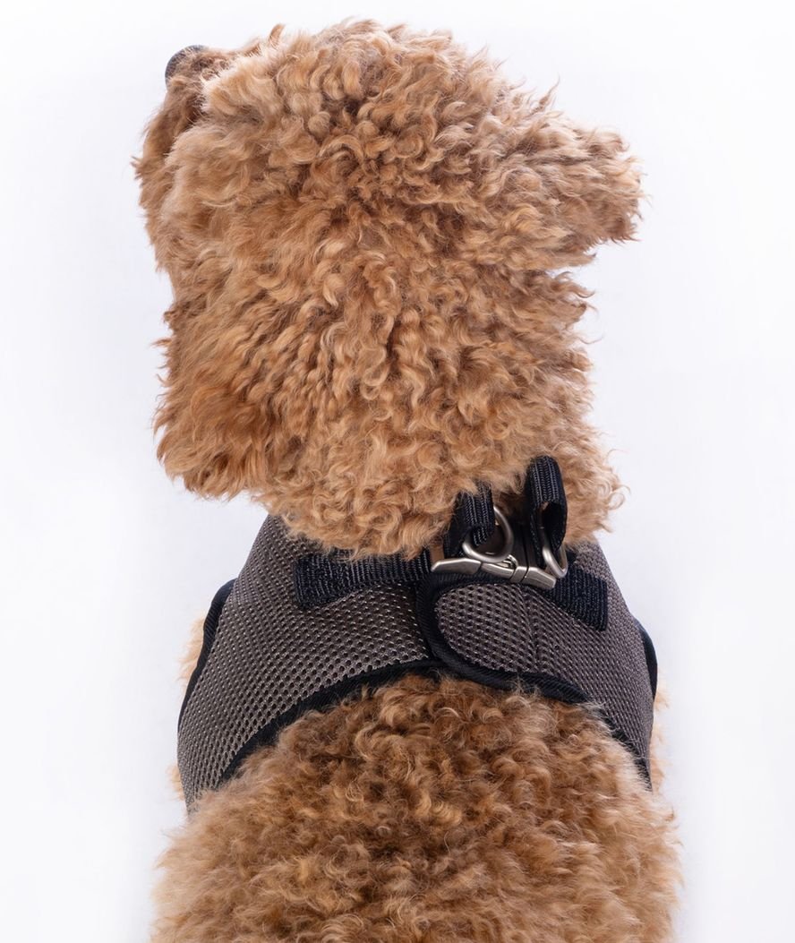 Pettorina traspirante con strisce riflettenti modello Buddy Soft per cani - foto 6