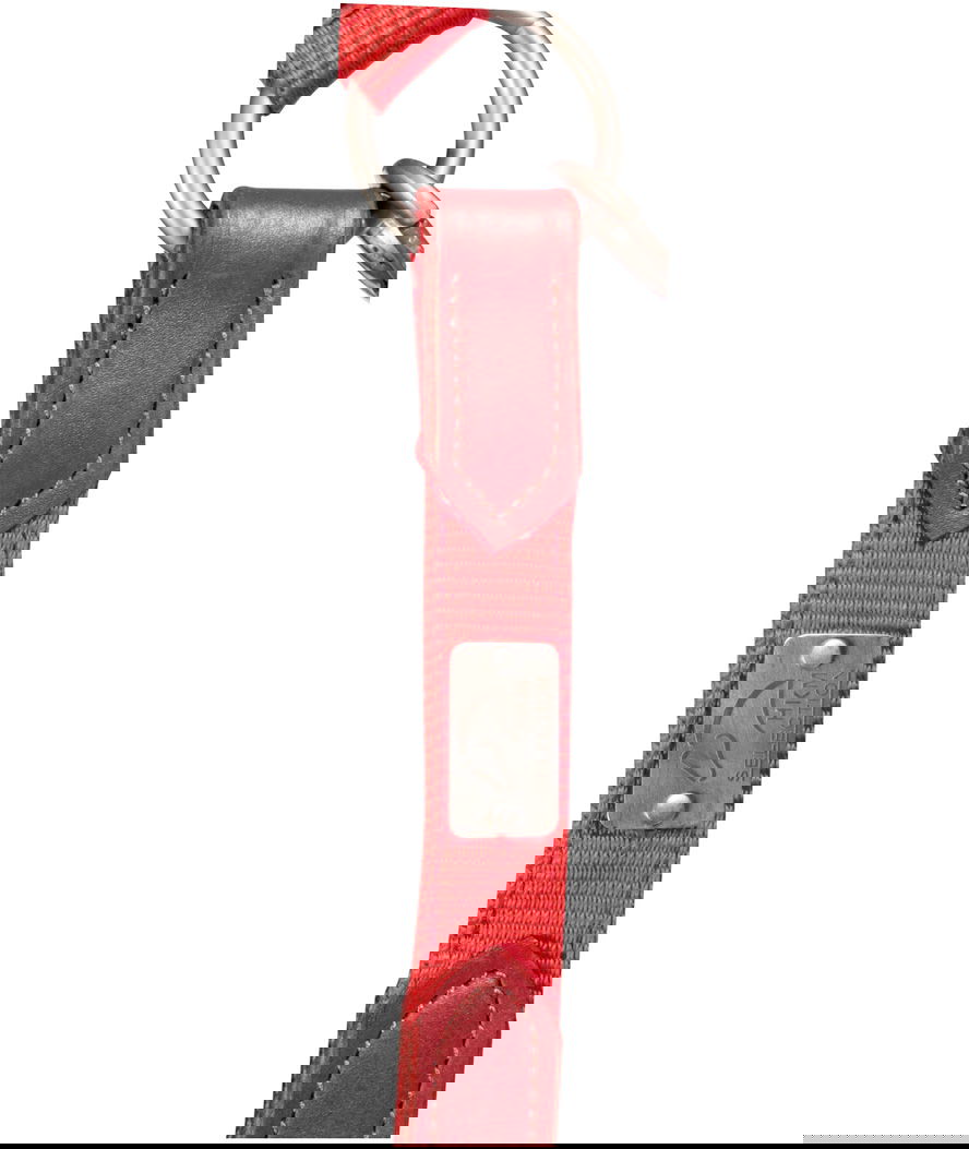 Capezza regolabile in nylon con rinforzi in pelle e raccordi argento opaco modello Aruba - foto 5