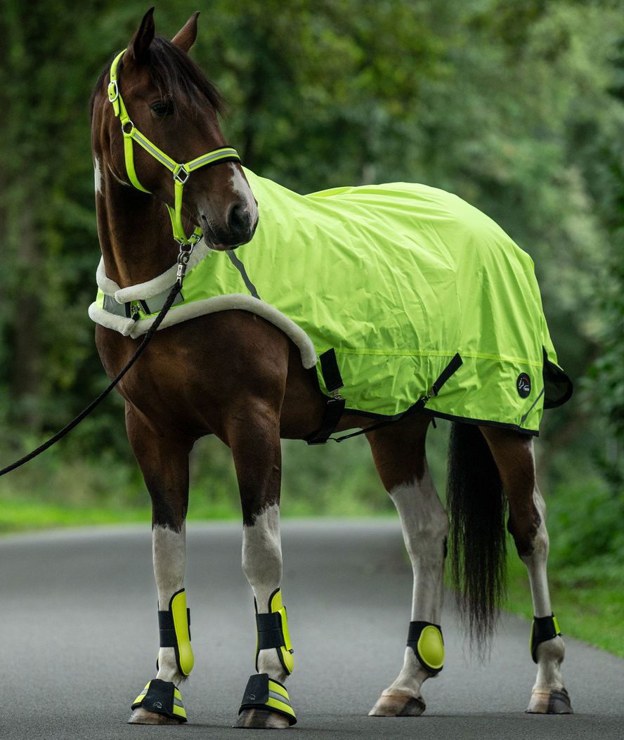 Coprireni impermeabile da esercizio per cavalli modello Reflective con rinforzo in pelo - foto 2