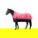 PROMOZIONE Coperta da paddock per cavalli modello Norwich tessuto esterno 600 denari e imbottitura 300 g 155 CM ROSA/NERO - foto 1