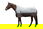 PROMOZIONE Coperta da paddock per cavalli modello Norwich tessuto esterno 600 denari e imbottitura 300 g 155 CM ROSA/NERO - foto 5