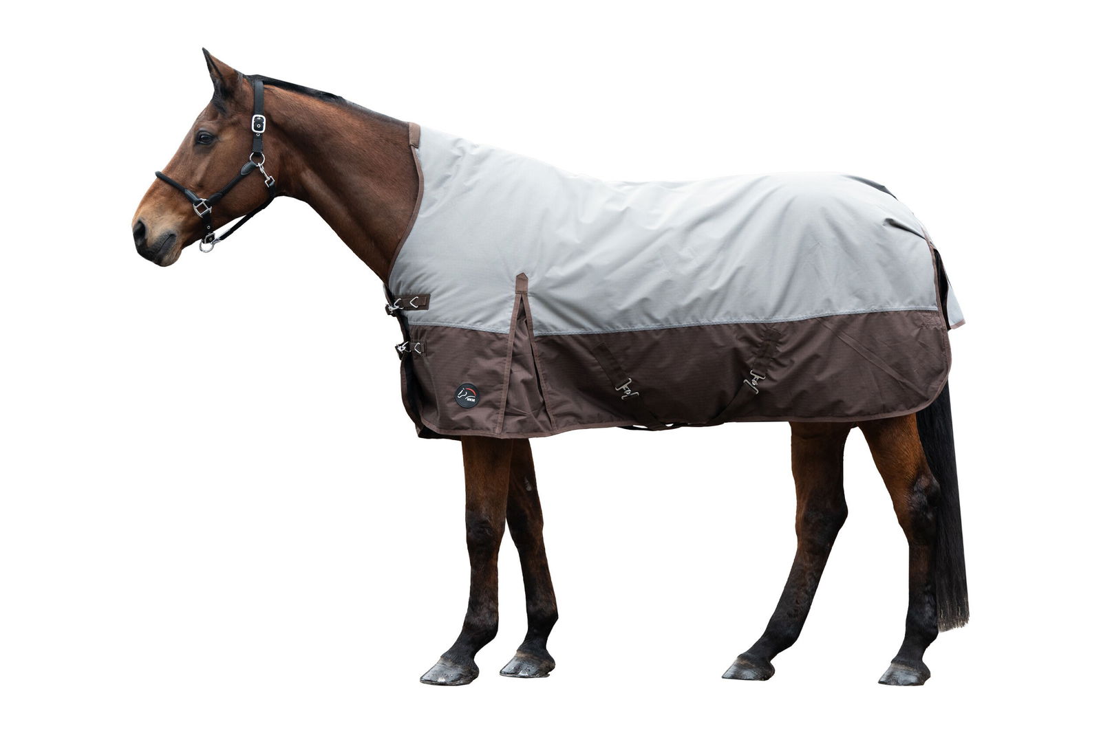 PROMOZIONE Coperta da paddock per cavalli modello Norwich tessuto esterno 600 denari e imbottitura 300 g 155 CM ROSA/NERO - foto 5
