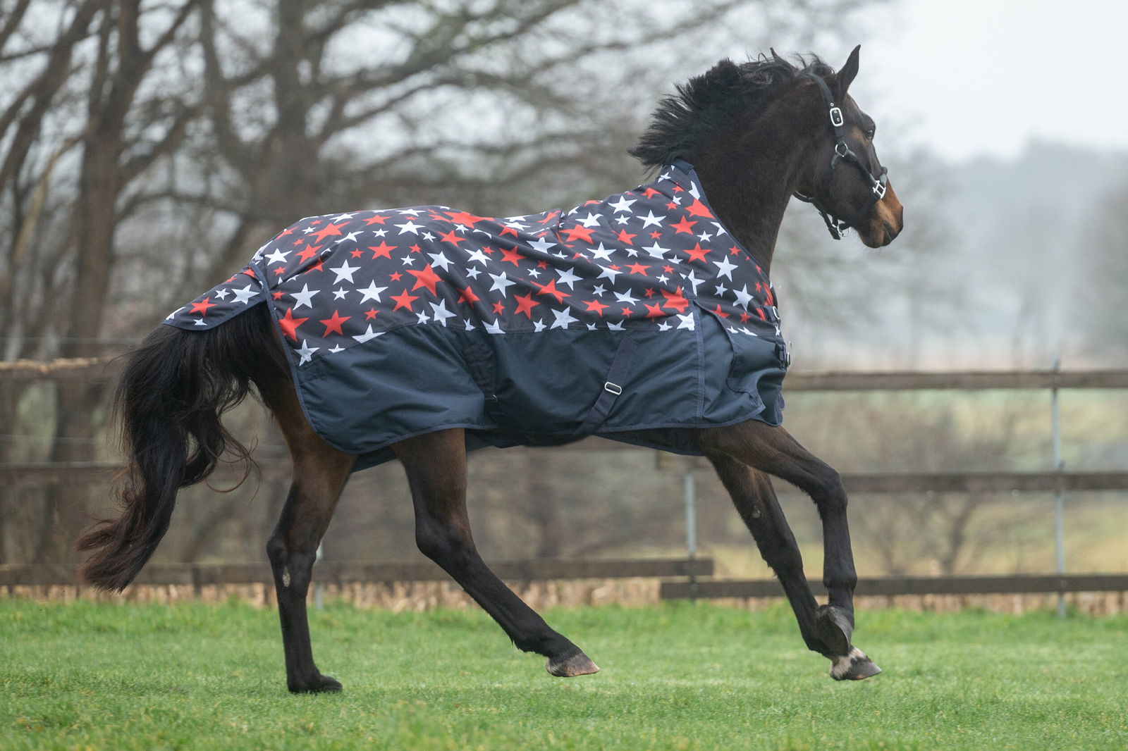 PROMOZIONE Coperta da paddock per cavalli modello Norwich tessuto esterno 600 denari e imbottitura 300 g 155 CM ROSA/NERO - foto 7