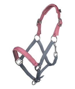 Cavezza modello Barnie in nylon imbottito in softprene per pony e shettland