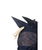 Maschera antimosche per cavallino giocattolo Hobby Horsing HKM - foto 14