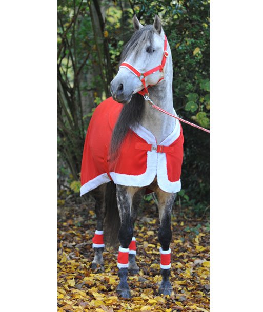 Coperta per cavallo natalizia modello Christmas con cinghie e chiusura frontale - foto 1