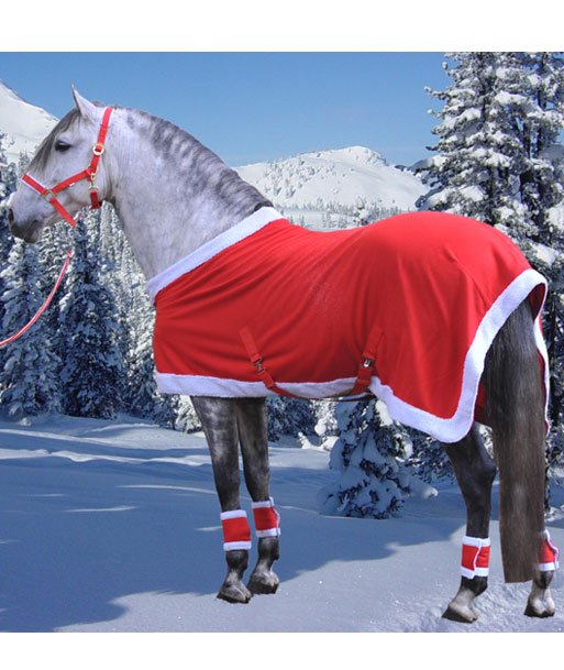 Coperta per cavallo natalizia modello Christmas con cinghie e chiusura frontale - foto 2