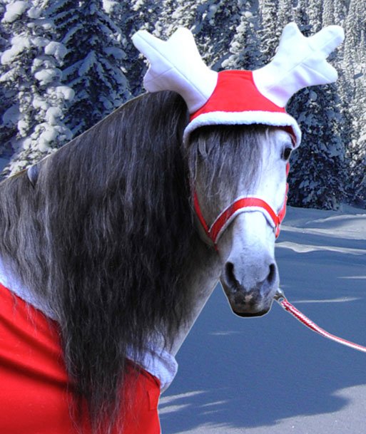 Cuffia per cavalli natalizia Christmas con corna da renna - foto 1
