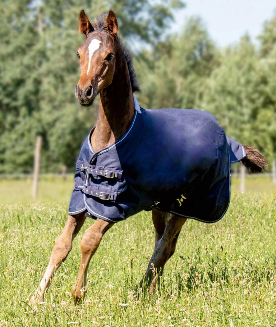 Coperta da paddock impermeabile per Puledri in tessuto esterno 600 denari e fodera pile - foto 1