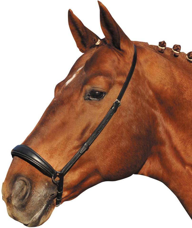 Capezzina pr cavalli modello Hannover con nasalina extra morbida in cuoio di qualità