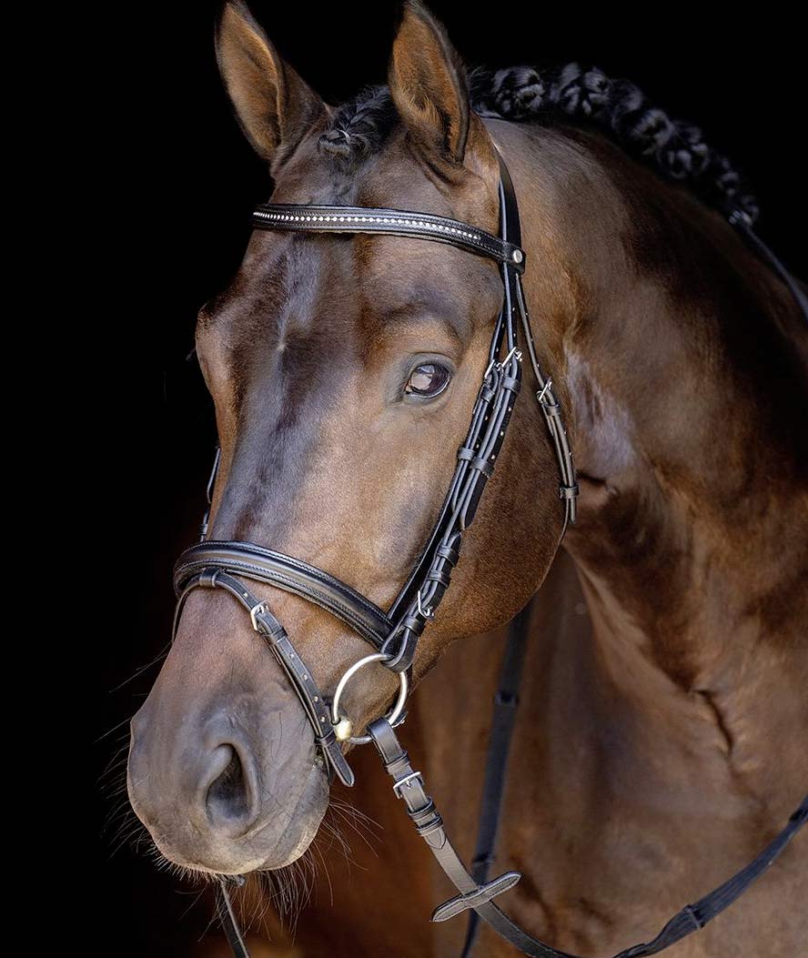 Briglia inglese in cuoio con frontalino strass e redini in tela - foto 3