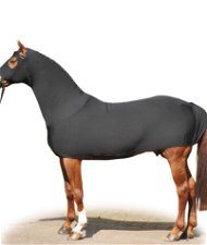 Coperta antimosche cavalli