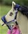 Cavezza Mini Shetland con nasalina e sopratesta imbottiti modello Funny Horses  - foto 1
