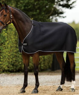 Horses, Coperta Invernale Heavy per Cavallo 500gr, Imbottita, Morbida,  Comoda, Ideale per Box, Resistente, con Bordi Rinforzati in Nylon, Verde  128 cm