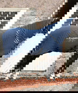 Coperta per asciugatura cavalli Rambo Dry Rug