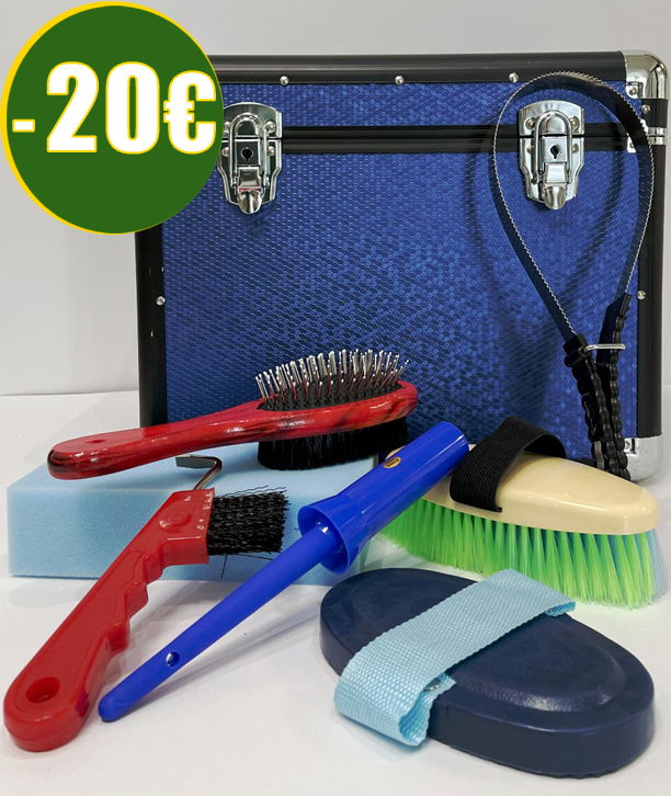 Set grooming RISPARMIO 20 Euro. 8 pezzi bauletto grande più accessori per la pulizia del cavallo