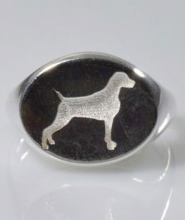 Anello chevalier Weimaraner in argento 925