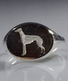 Anello chevalier Galgo in argento titolo 925