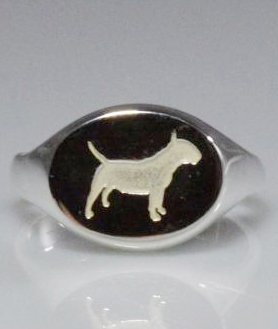 Anello chevalier Bull terrier in argento titolo 925