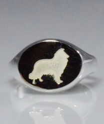 Anello chevalier Collie in argento titolo 925