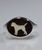 Anello chevalier Border collie argento 925