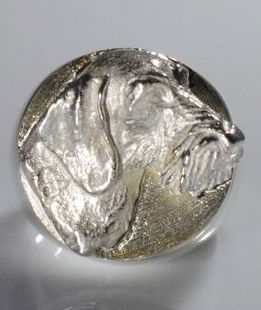 Anello chevalier massiccio testa Bassotto a pelo duro argento titolo 925