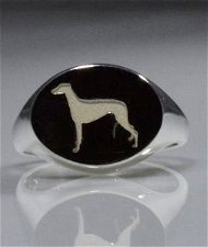 Anello nuovo chevalier Greyhound in argento 925