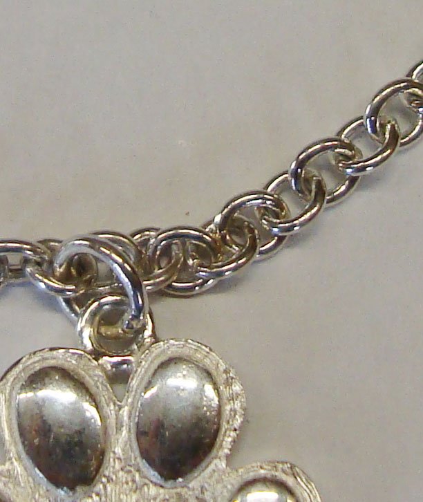 Bracciale a catena in argento con pendenti a forma di zampa - foto 1