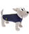 T-shirt in cotone Doginfluencer per cani