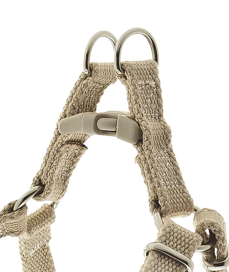 PROMOZIONE Pettorina per cani regolabile in cotone modello Ecologico 1,5 cm AZZURRO - foto 1