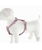 Pettorina regolabile a 8 in nylon ultra resistente con imbottitura soffice e scritta riflettente linea Comfort per cani  - foto 4