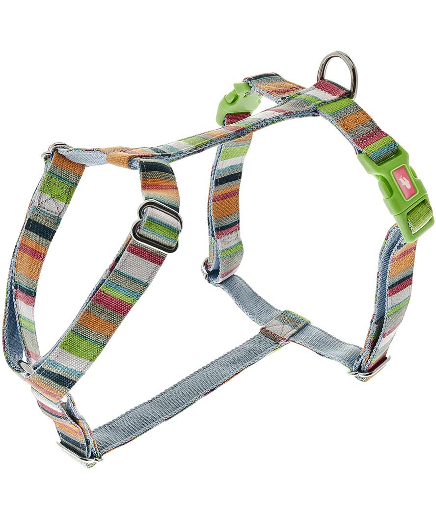 Pettorina per cani in nylon regolabile a otto con imbottitura in neoprene fantasia arcobaleno