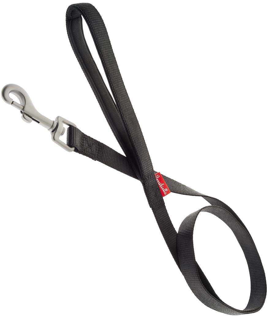 Guinzaglio in nylon con imbottitura in neoprene e moschettone in acciaio per cani
