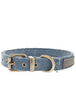 Collare modello Denim regolabile per cani