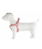 Pettorina regolabile in nylon per cani modello Speedy - foto 4