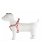 Pettorina regolabile in nylon per cani modello Speedy - foto 4