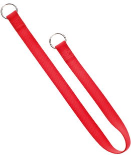 Collare strozzo nylon antigraffio cane