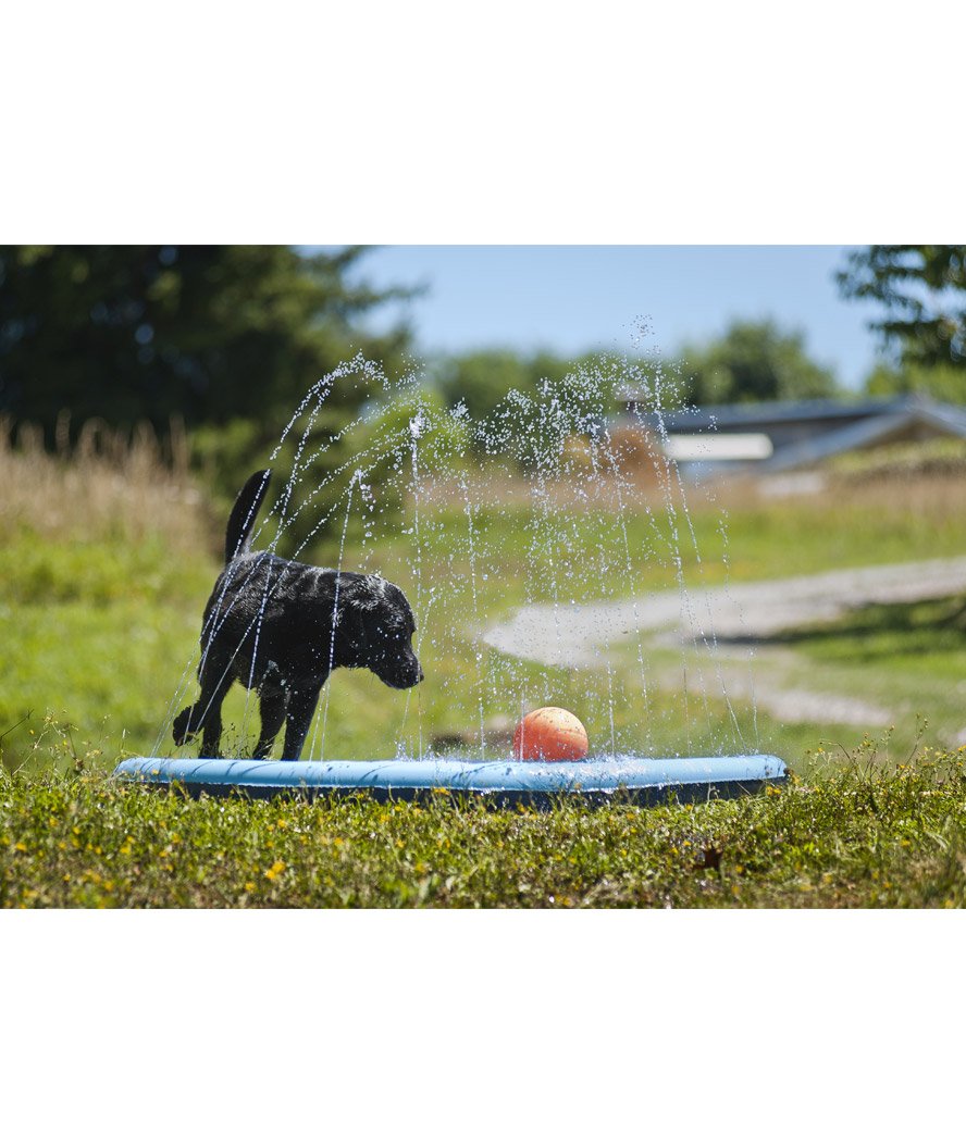 Piscina in pvc modello Splash per cani - foto 7