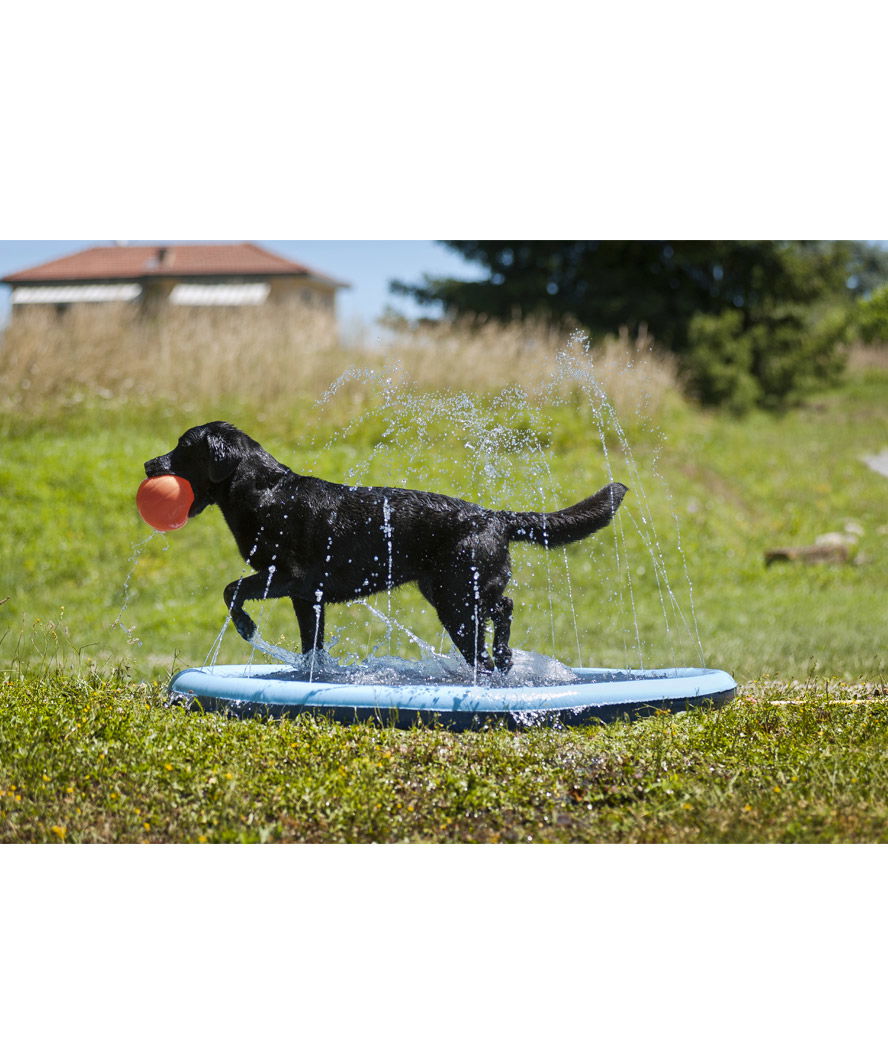 Piscina in pvc modello Splash per cani - foto 9