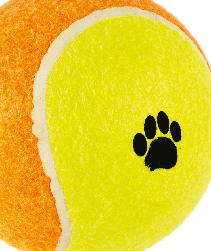Palla da tennis per cani - foto 1