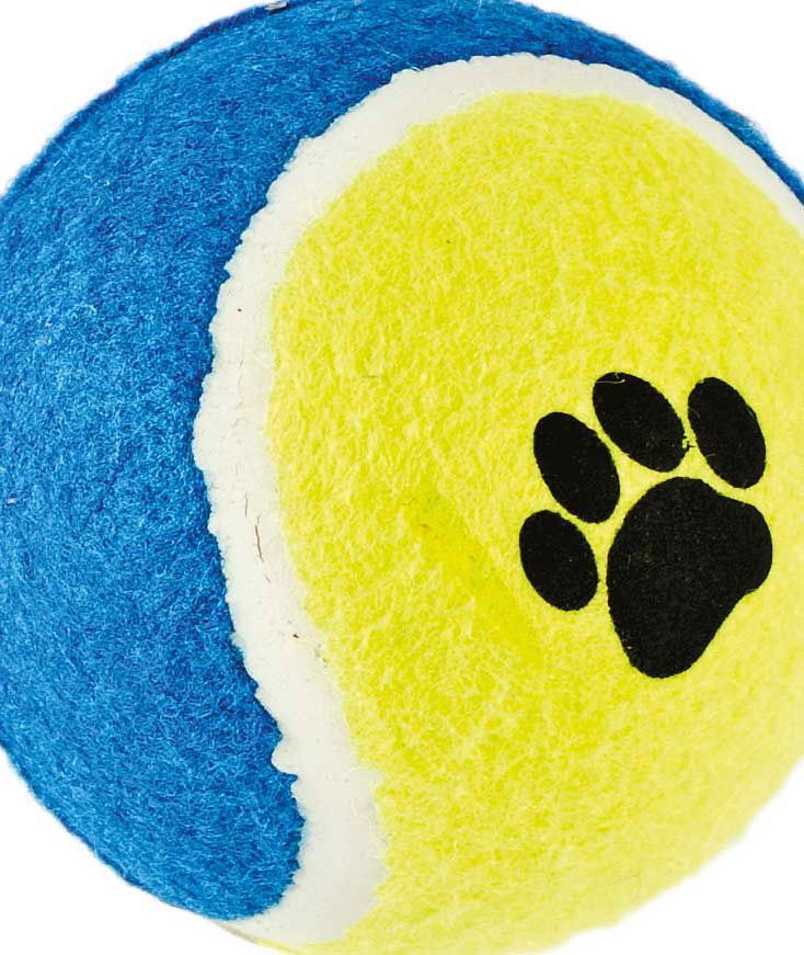 Palla da tennis per cani - foto 5