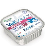 Recovery Monge Vet Solution Canine 150g x 24 pezzi