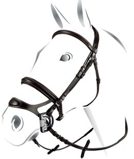 briglia inglese cuoio italiana redini inox noseband